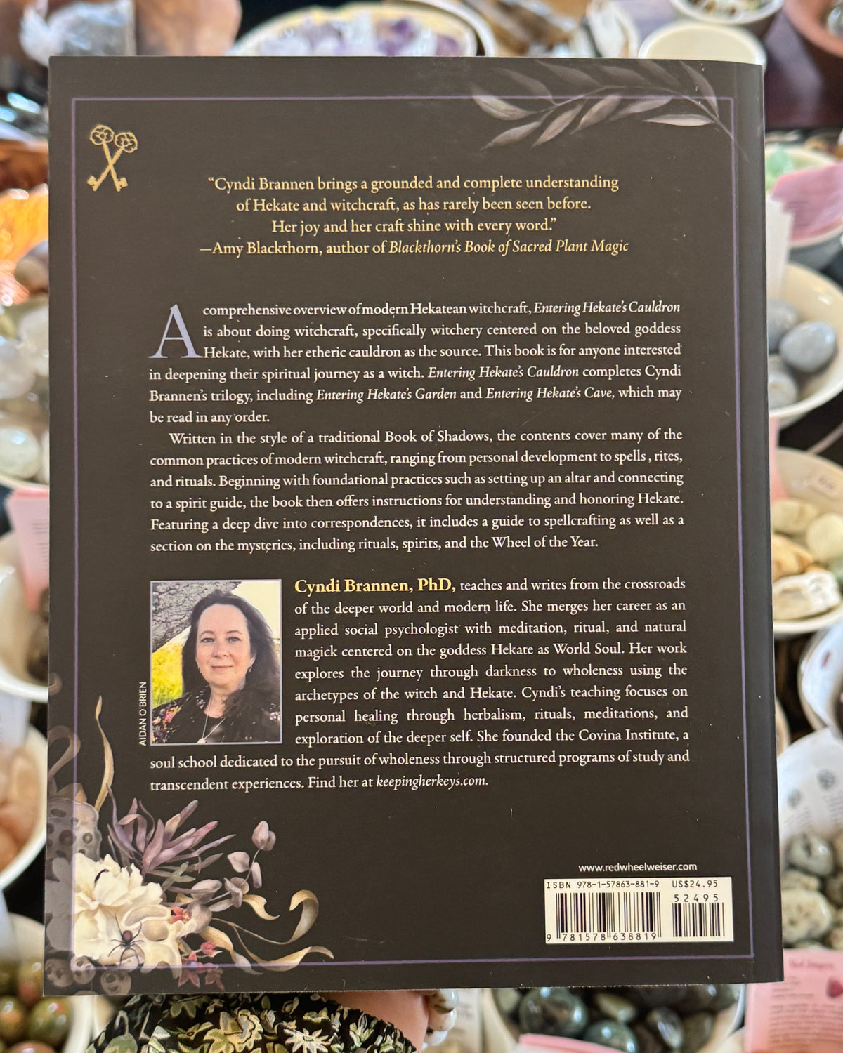 Entering Hekate’s Cauldron by Cyndi Brannen, Red Wheel Weiser witchcraft guide to Goddess Hekate, spellcrafting, spirit guides, sacred altars, magical correspondences and ritual practices.