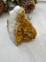 Citrine cluster #5 – golden yellow crystal for creativity, manifestation and abundance – Inspired By 3 Crystals Australia.