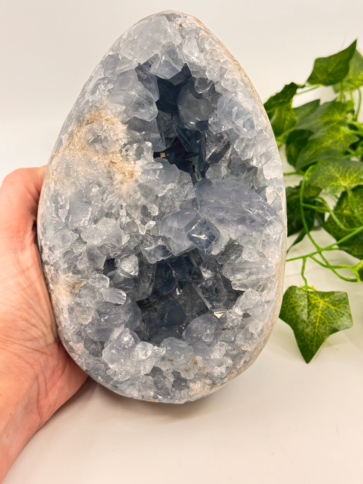 Celestite Egg 3.6kilos – Whisper of the Angelic Realms