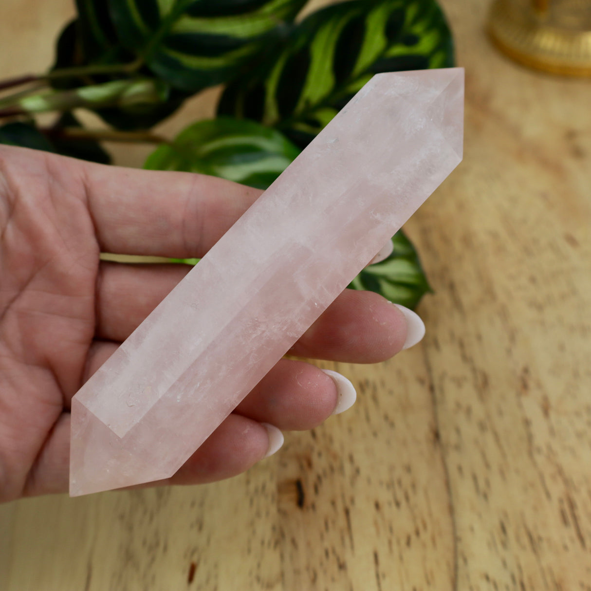 Rose Quartz Double Terminated Crystal 12–13cm – Love & Energy Flow