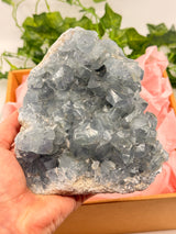 Celestite Specimen 2kg – Portal to the Angelic Realm