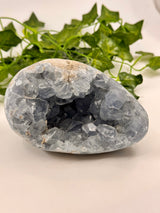 Celestite Egg 1.7kg – Whisper of the Angelic Realms