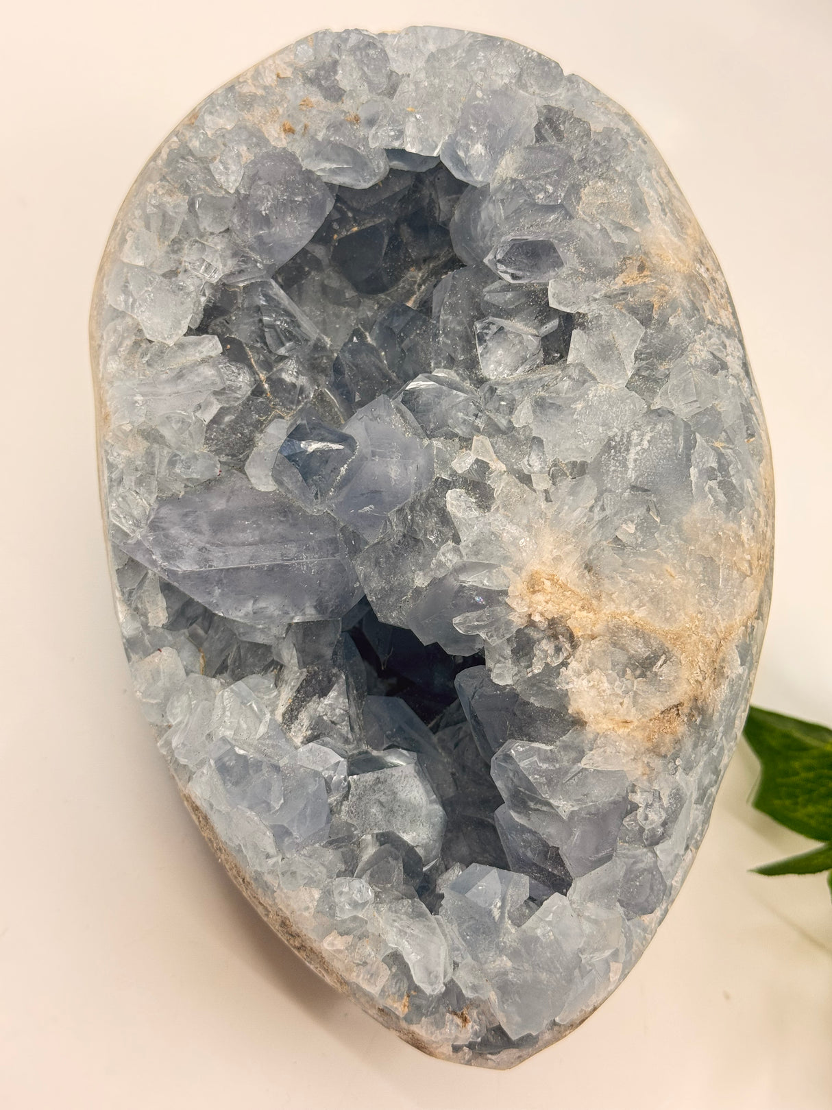 Celestite Egg 3.6kilos – Whisper of the Angelic Realms