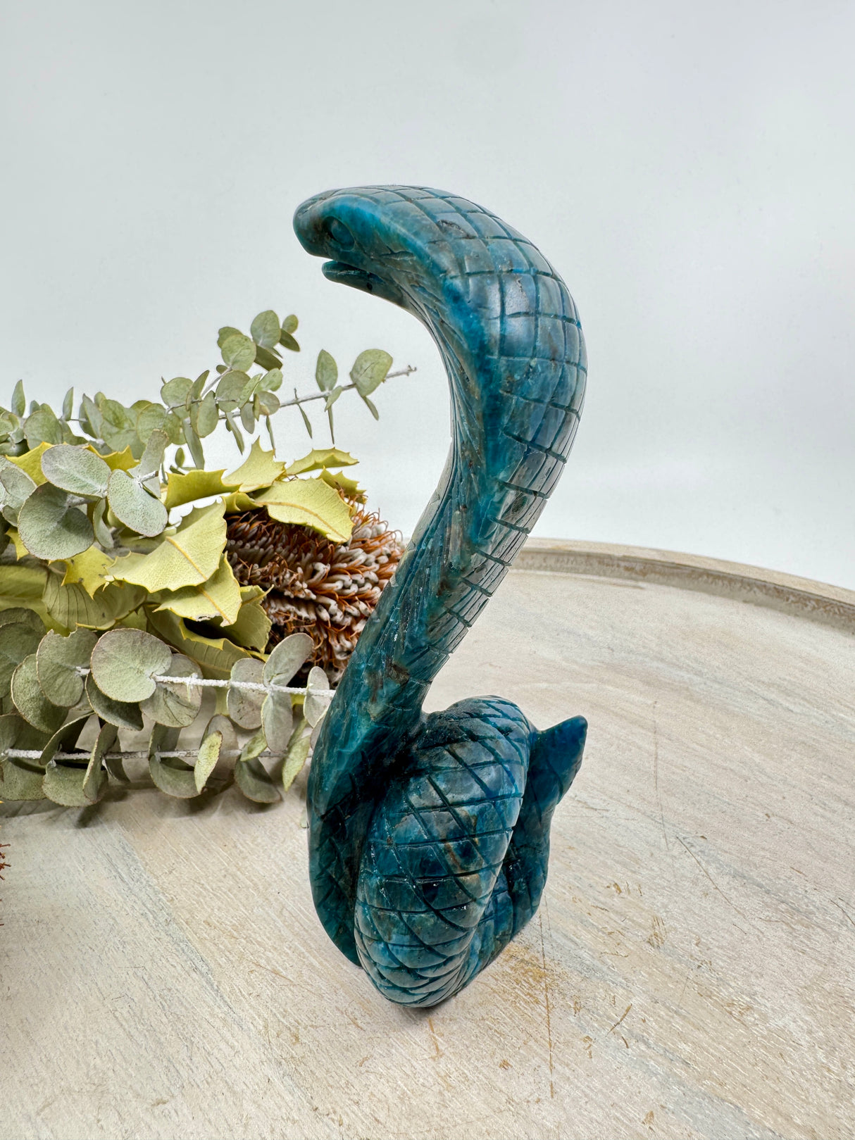 Blue Apatite Snake Carving 15cm – Stone of Wisdom, Transformation & Intuition