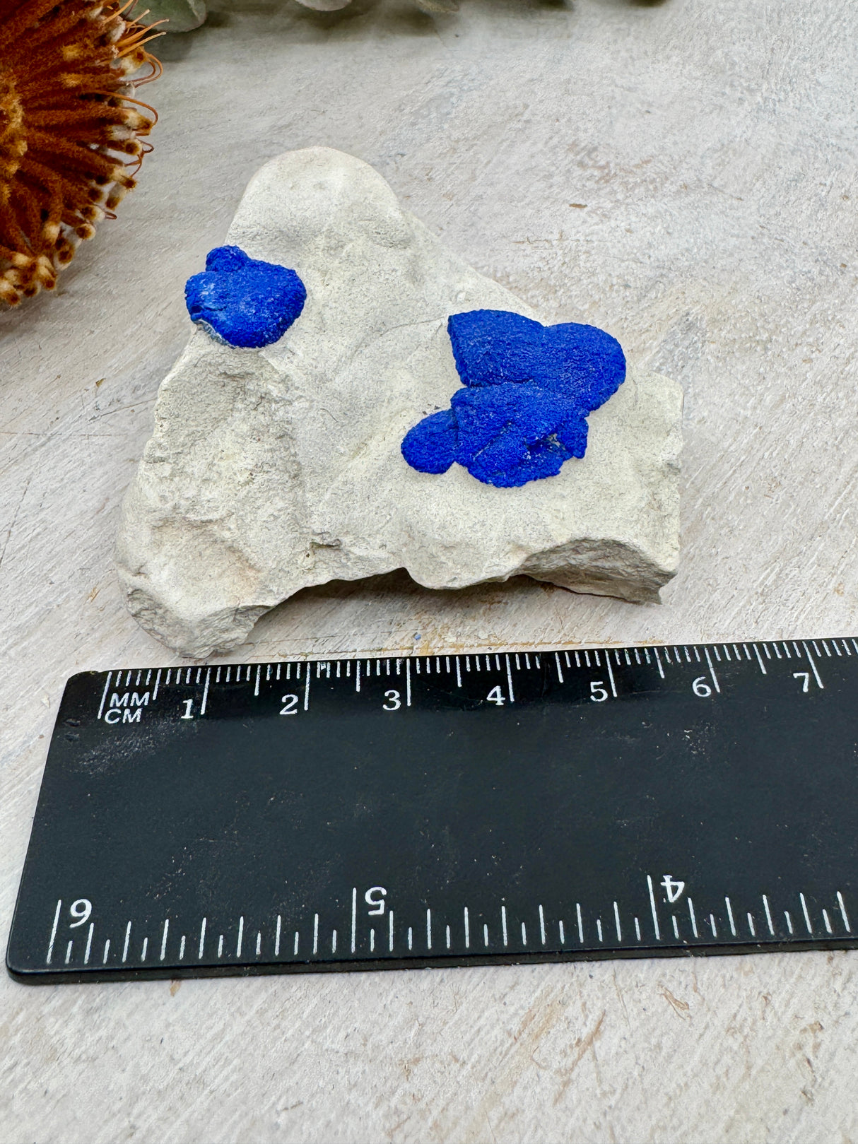 Azurite Sun #6 – 72g – Rare Australian Mineral for Intuition & Higher Awareness