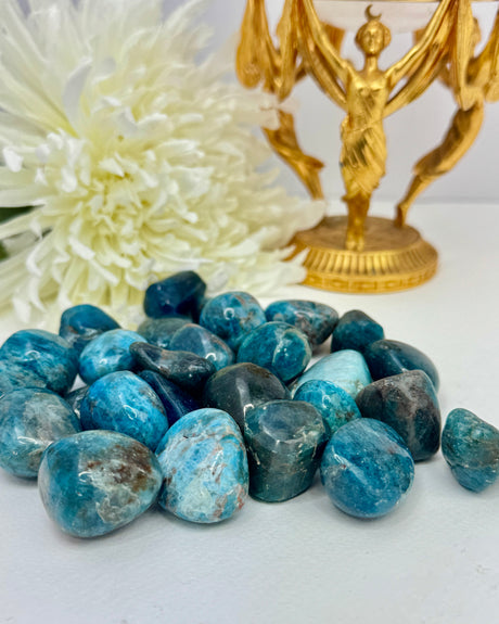 Blue Apatite tumbled stone in deep ocean hues — crystal of inspiration, motivation, and manifestation.