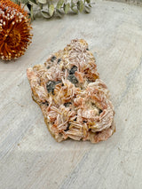 Barite Flower with Cerussite & Galena 424g (11x7cm) – Stone of Grounding, Insight & Angelic Connection