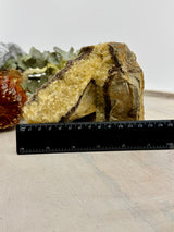 Septarian Jasper Specimen 1.125kg (15x10cm) – Stone of Strength, Protection & Ancient Wisdom