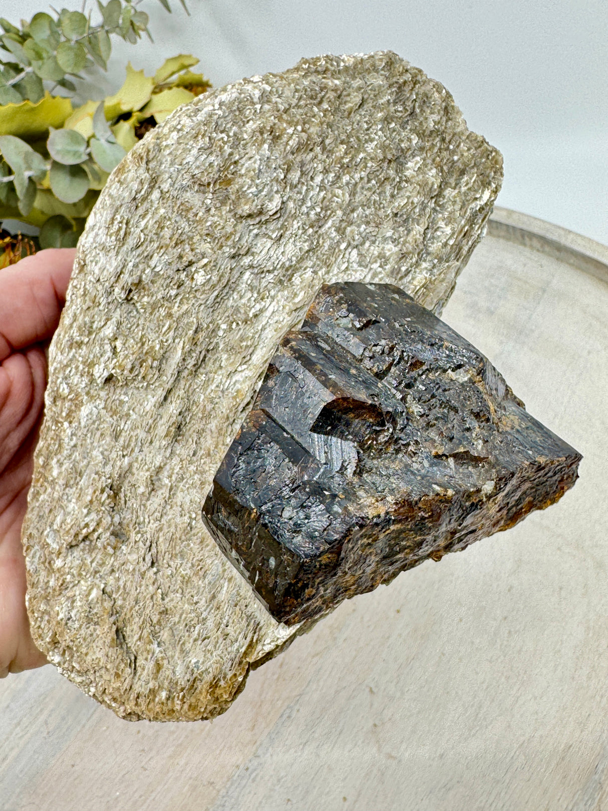 Brown Dravite Tourmaline in Mica 777g 16x12cm – deep brown grounding crystal with mica shimmer for protection and strength – Inspired By 3 Crystals Australia.