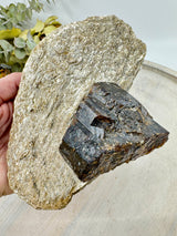 Brown Dravite Tourmaline in Mica 777g 16x12cm – deep brown grounding crystal with mica shimmer for protection and strength – Inspired By 3 Crystals Australia.