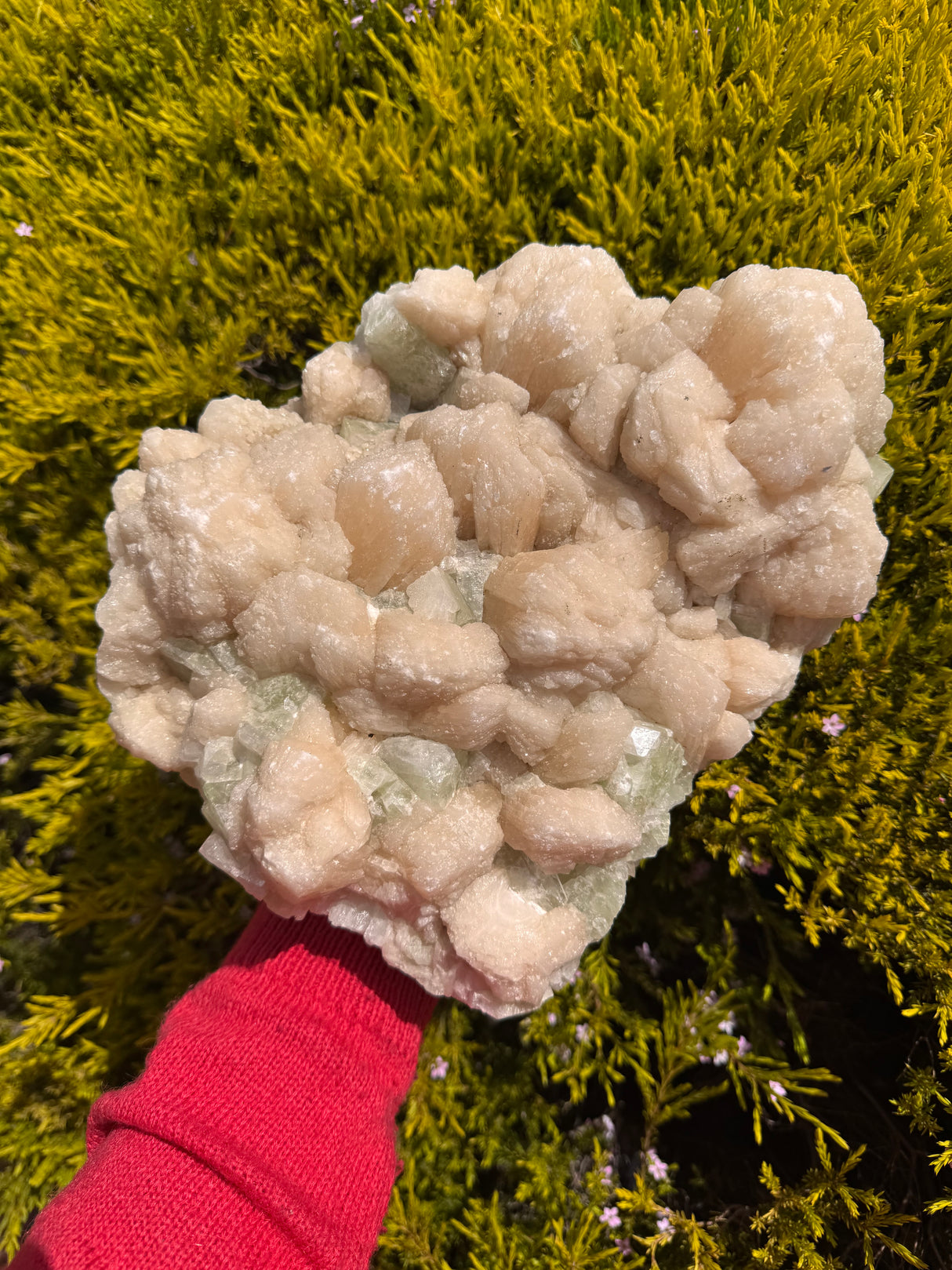 Large Apophyllite Cluster with Peach Stilbite – 5.222kg