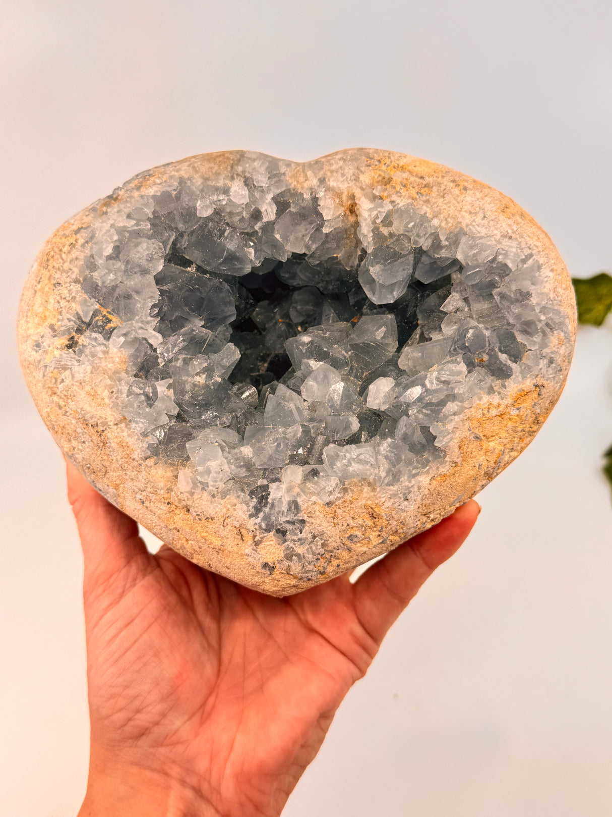 Celestite Heart 3.42kg– Vessel of Divine Peace and Love