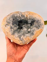 Celestite Heart 3.42kg– Vessel of Divine Peace and Love