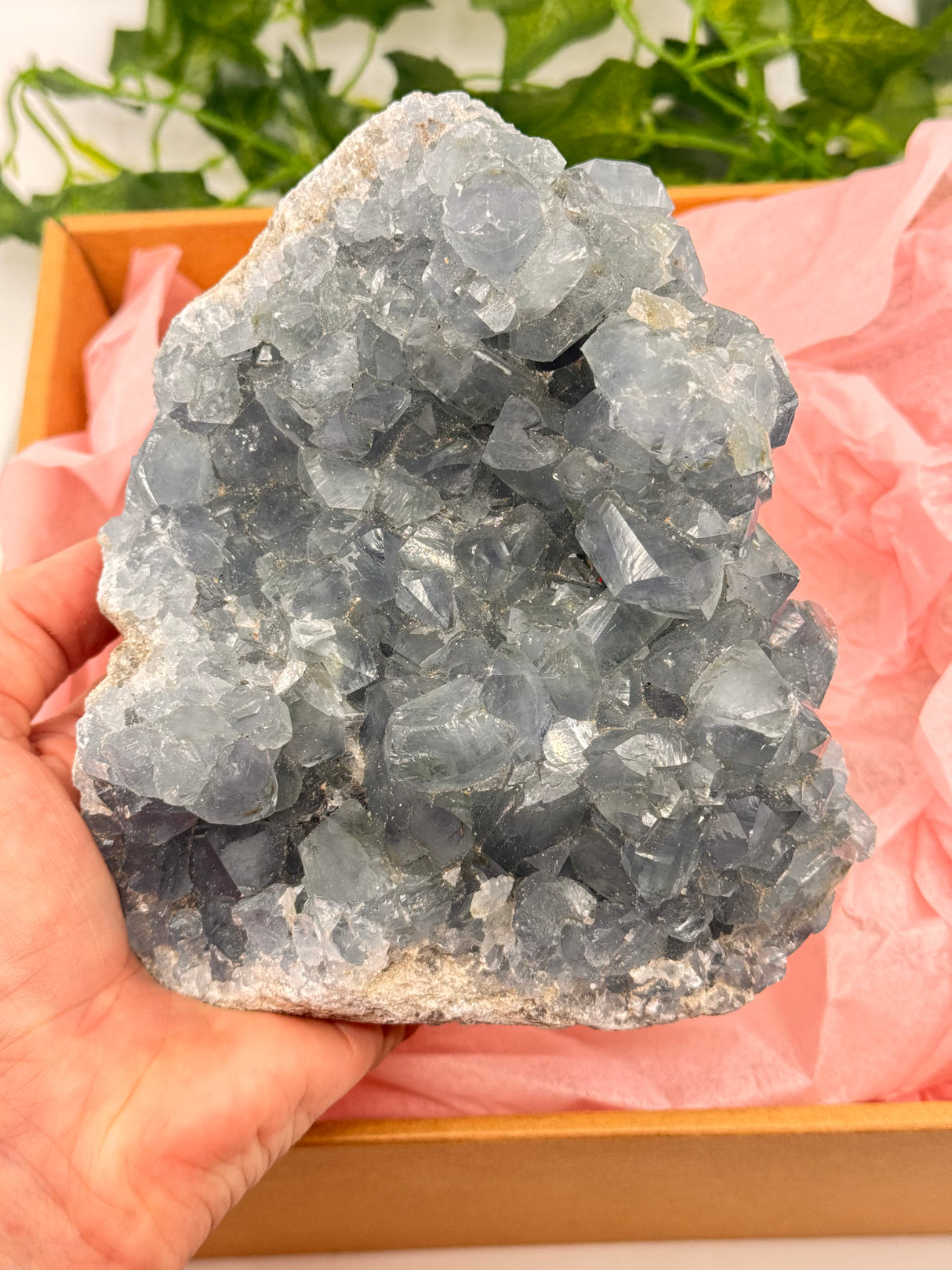 Celestite Specimen 2kg – Portal to the Angelic Realm