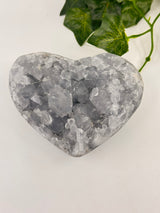 Celestite Heart 951g– Vessel of Divine Peace and Love