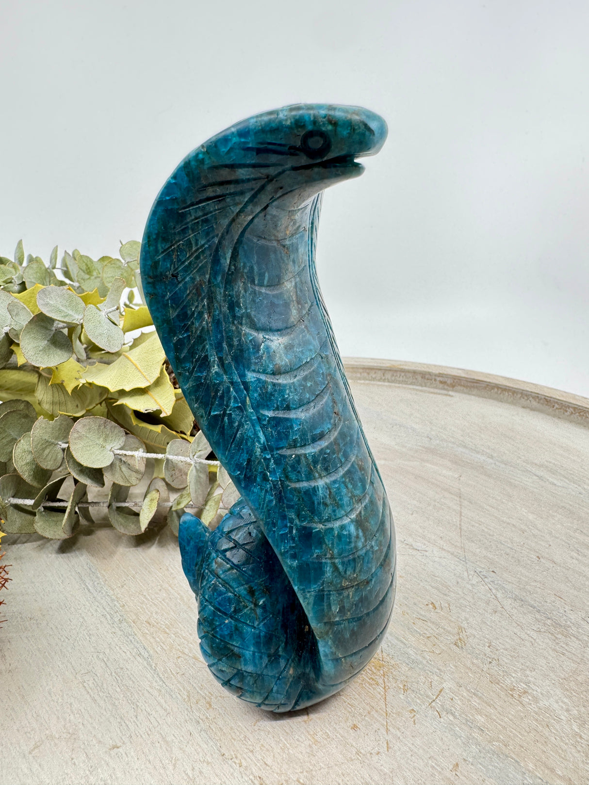 Blue Apatite Snake Carving 15cm – Stone of Wisdom, Transformation & Intuition