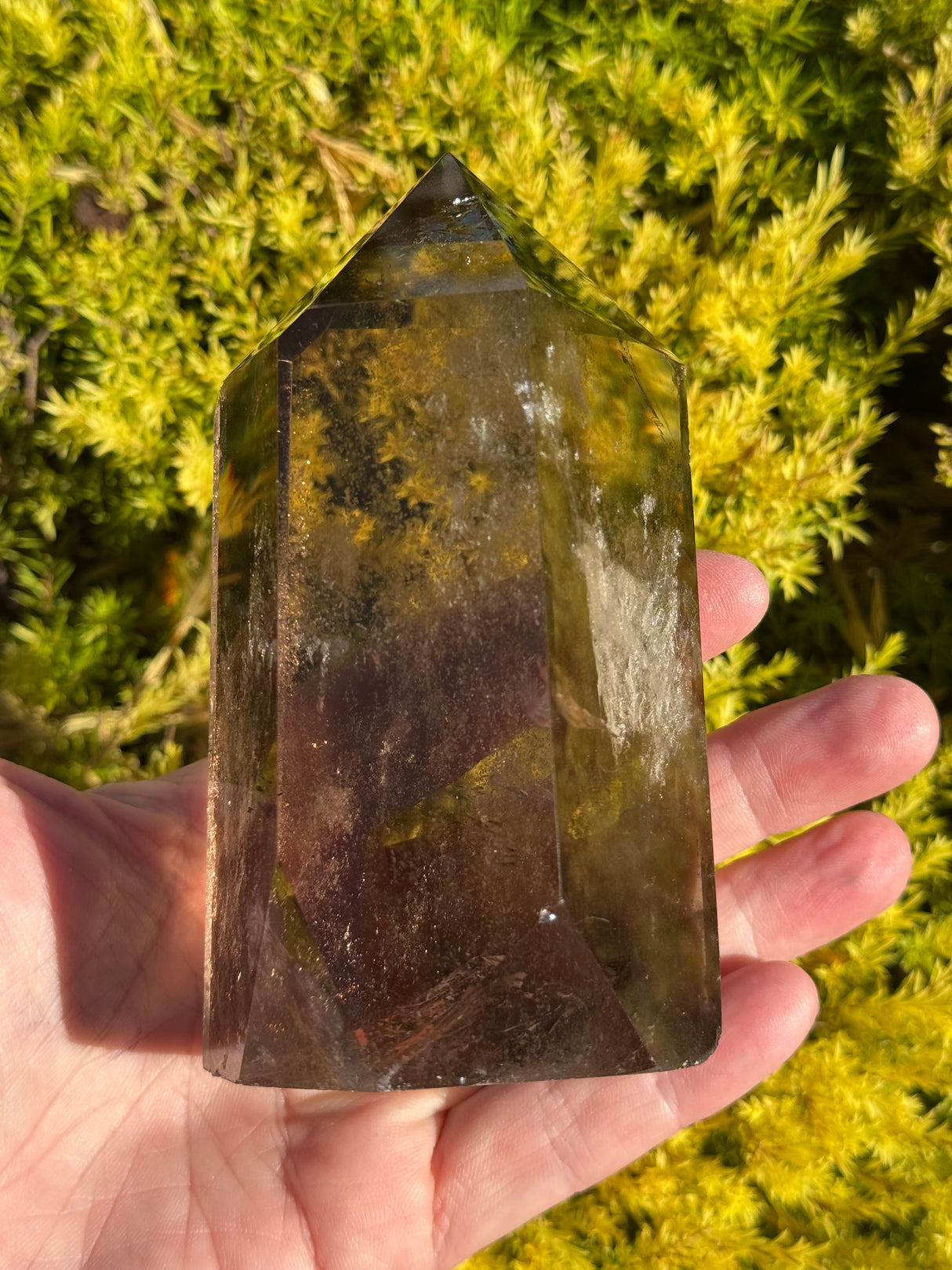Smoky Quartz Generator #5 807g - “My spirit is deeply grounded in the present moment”.