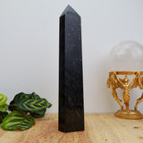 Arfvedsonite with Garnet Tower | 24cm | 935g | Grounded Manifestation