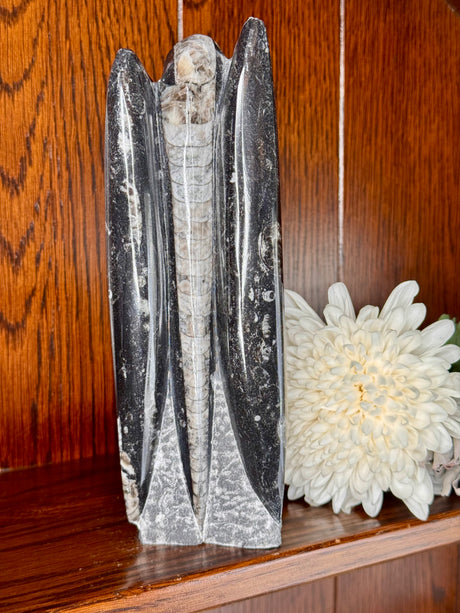 Fossil Orthoceras tower crystal, ancient sea fossil for transformation, protection and spiritual growth.