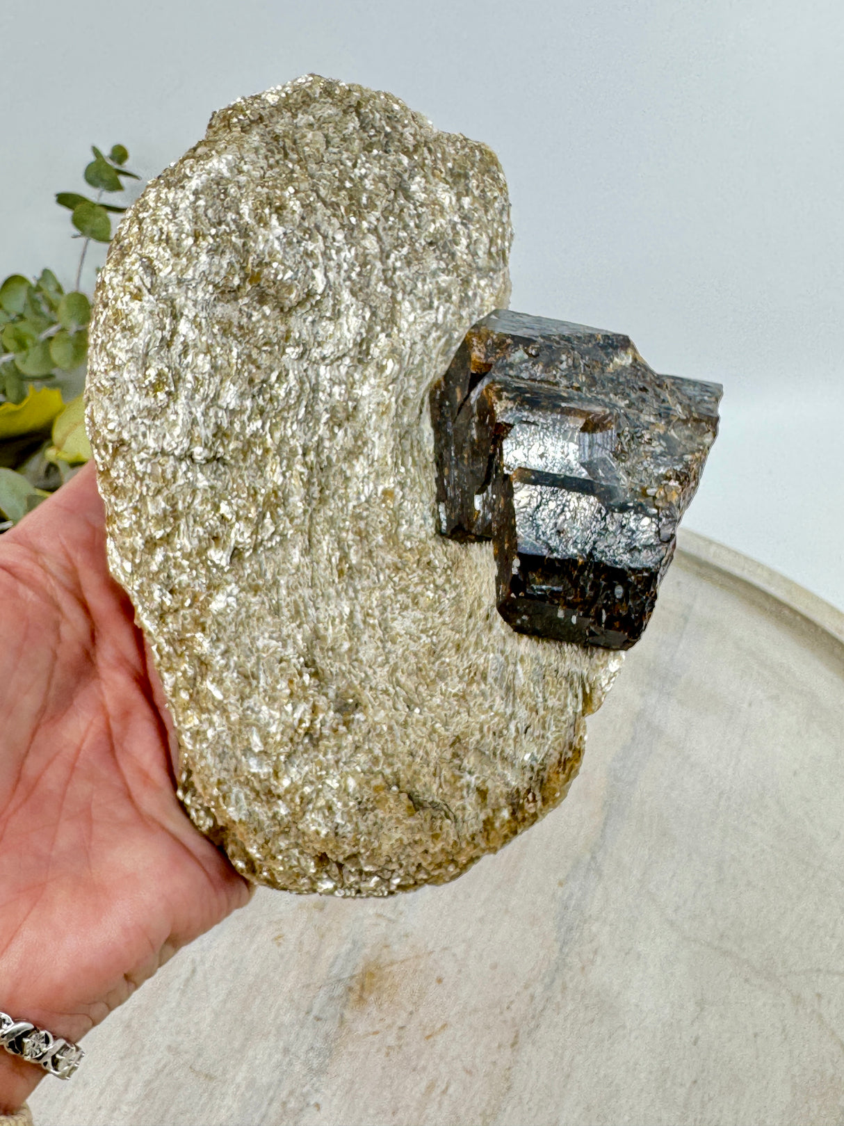 Brown Dravite Tourmaline in Mica – 777g | Rare Stone of Grounding, Protection & Inner Strength