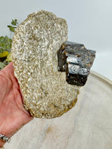 Brown Dravite Tourmaline in Mica – 777g | Rare Stone of Grounding, Protection & Inner Strength