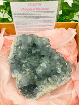 Celestite Specimen 2kg – Portal to the Angelic Realm