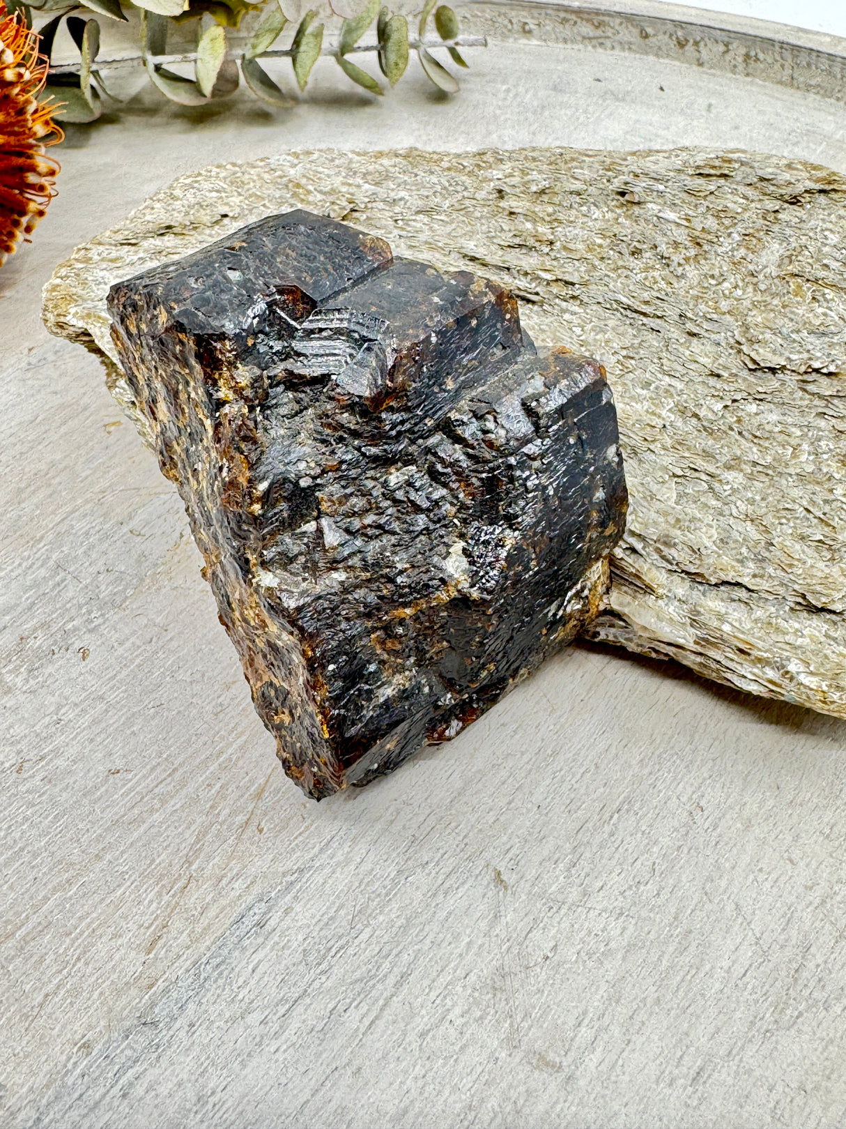 Brown Dravite Tourmaline in Mica – 777g | Rare Stone of Grounding, Protection & Inner Strength