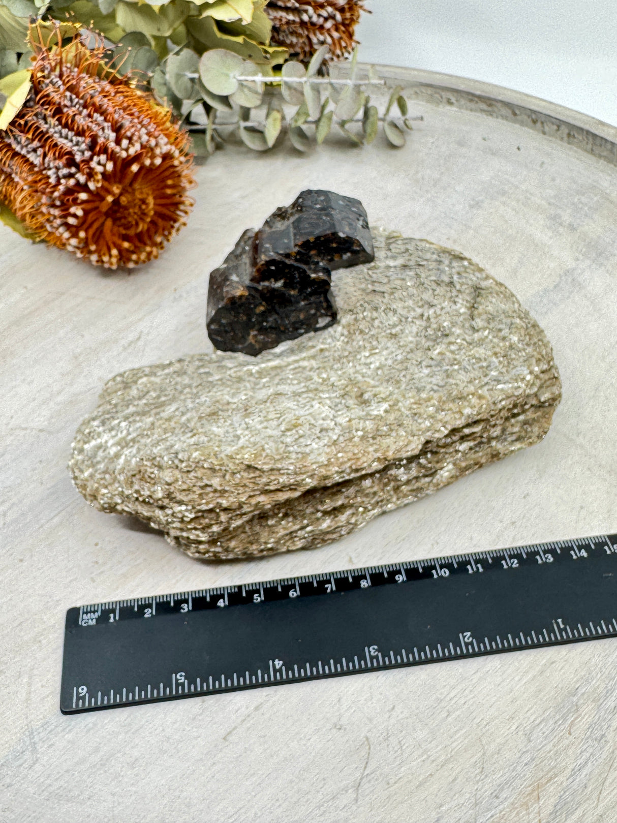 Brown Dravite Tourmaline in Mica – 777g | Rare Stone of Grounding, Protection & Inner Strength