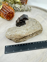 Brown Dravite Tourmaline in Mica – 777g | Rare Stone of Grounding, Protection & Inner Strength