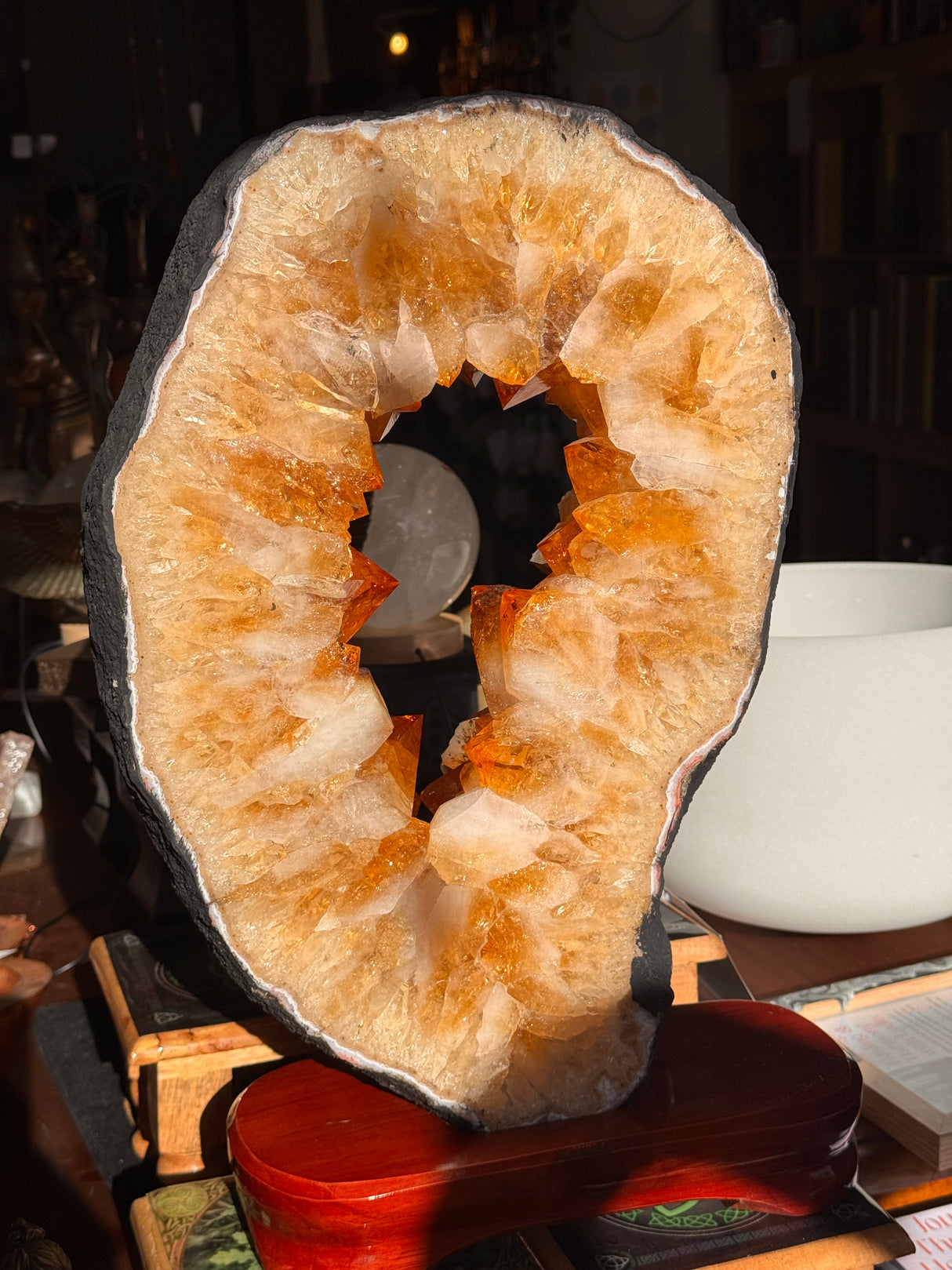 13kg Citrine Portal Ring Slice – Gateway to Abundance and Solar Power 🌞 One-of-a-kind Statement Piece