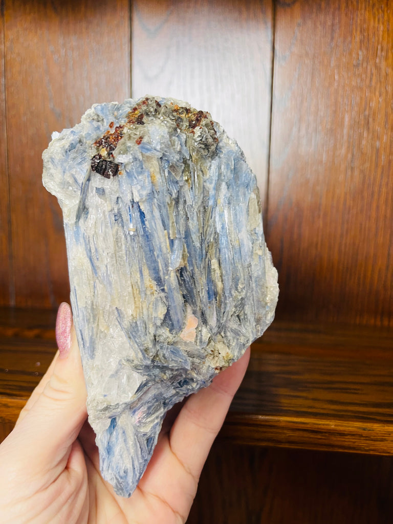 Blue Kyanite with Garnets 700g - "I am open to receiving Divine guidance from my spirit guides."