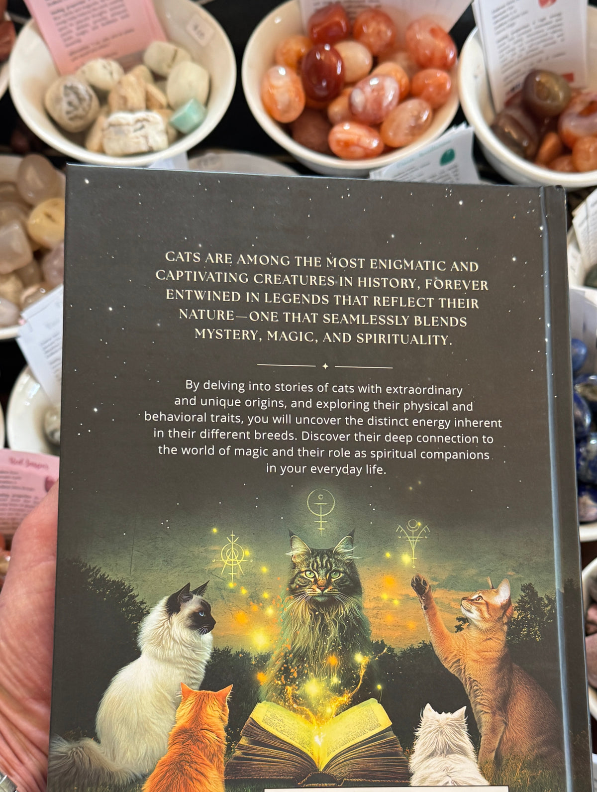 Cats: A Mystical Guide – Magic, Wisdom & Powers of Feline Breeds