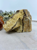 Septarian Jasper Specimen 1.125kg (15x10cm) – Stone of Strength, Protection & Ancient Wisdom