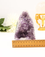 Amethyst Cluster | 14cm | 1231g | Protection • Intuition • Healing
