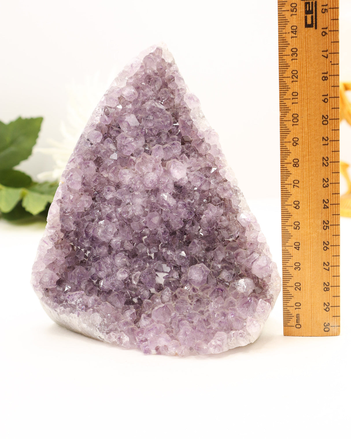 Amethyst Druzy Freeform | 1.7kg Calming Energy & Spiritual Clarity