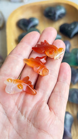 Carnelian Goldfish Carving - Good Luck - Courage