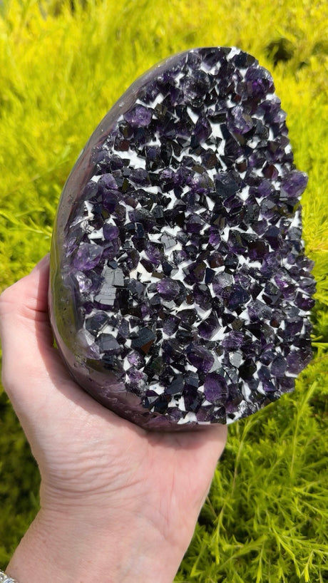 Uruguayan Amethyst Druzy on Stand | 15cm | 2.2kg | Celestial Calm & Protection