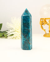 Polished Blue Apatite crystal tower with vibrant ocean-blue colouring photographed on a cream background with floral styling.