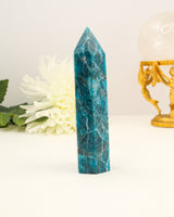 Blue Apatite Tower Australia | 17cm | 476g | Motivation & Manifestation
