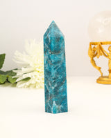 Polished Blue Apatite crystal tower with vibrant ocean-blue colouring photographed on a cream background with floral styling.
