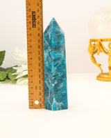 Blue Apatite Tower Australia | 17cm | 476g | Motivation & Manifestation