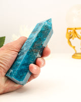 Blue Apatite Tower Australia | 17cm | 476g | Motivation & Manifestation