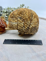 Picture Jasper Echidna Carving 2.254kg (15x13x11cm) – Stone of Earth Wisdom, Protection & Connection