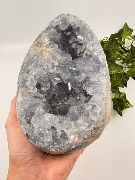 Celestite Egg 3.6kilos – Whisper of the Angelic Realms