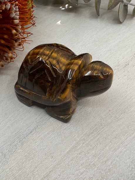 Tiger Eye Turtle Carving 5 cm × 3.5 cm – golden-brown crystal turtle symbolising courage, strength and grounding, Inspired By 3 Australia.