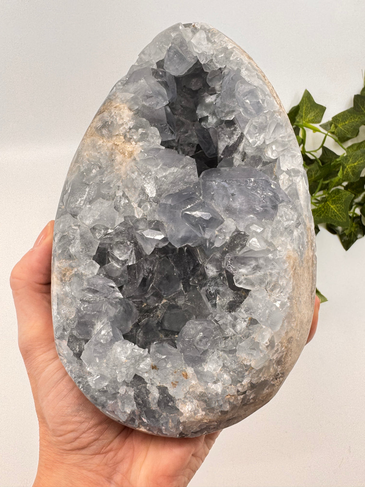 Celestite Egg 3.6kilos – Whisper of the Angelic Realms