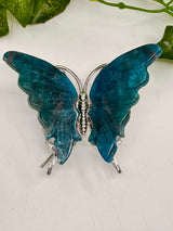 Apatite Blue Butterfly Carving - "I work relentlessly each day to achieve my goals."