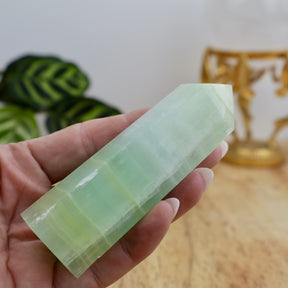 Green Calcite crystal point with soft green banding displayed on a wooden surface with ruler for size reference.