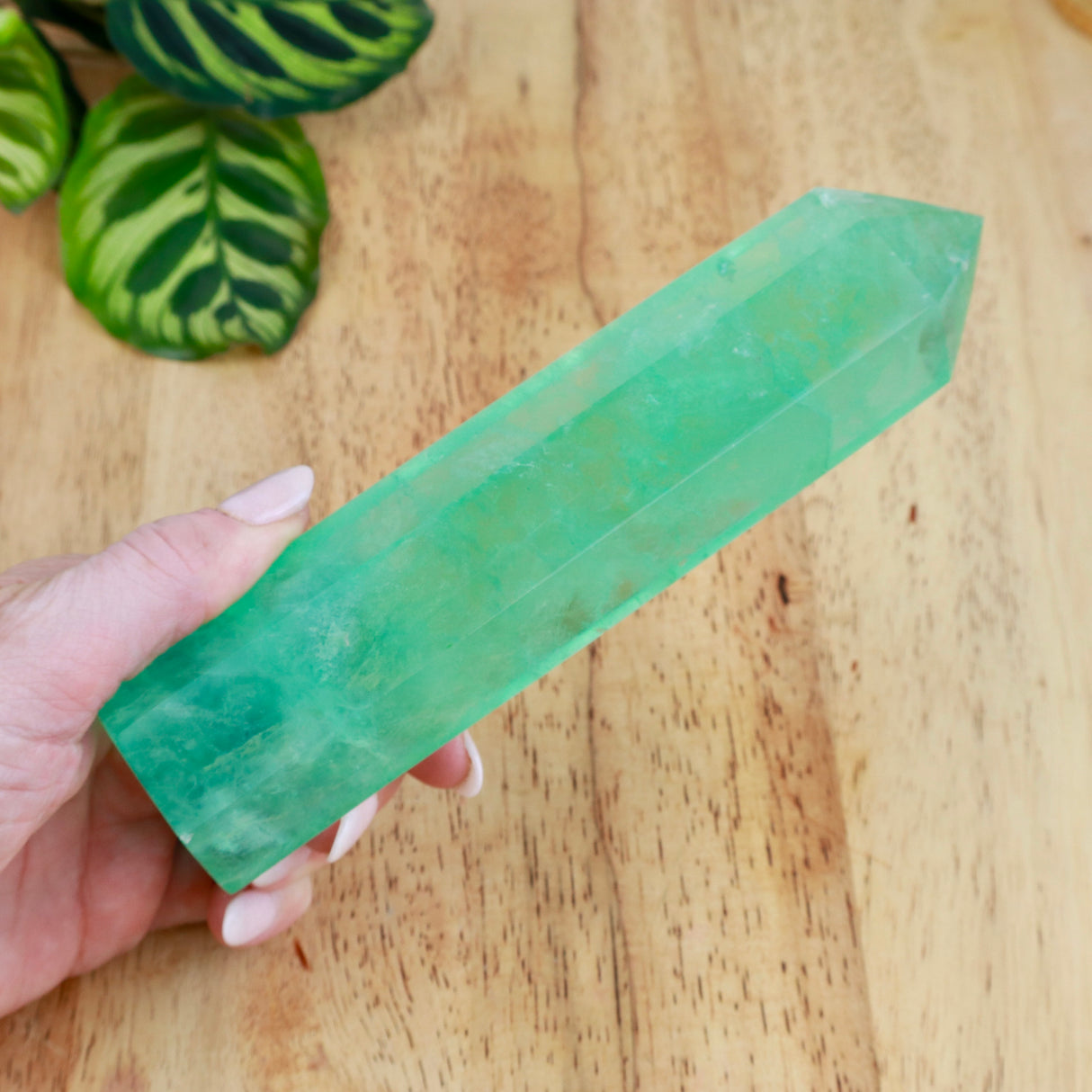 Green Fluorite Tower | 17cm | 565g | Clarity & Focus
