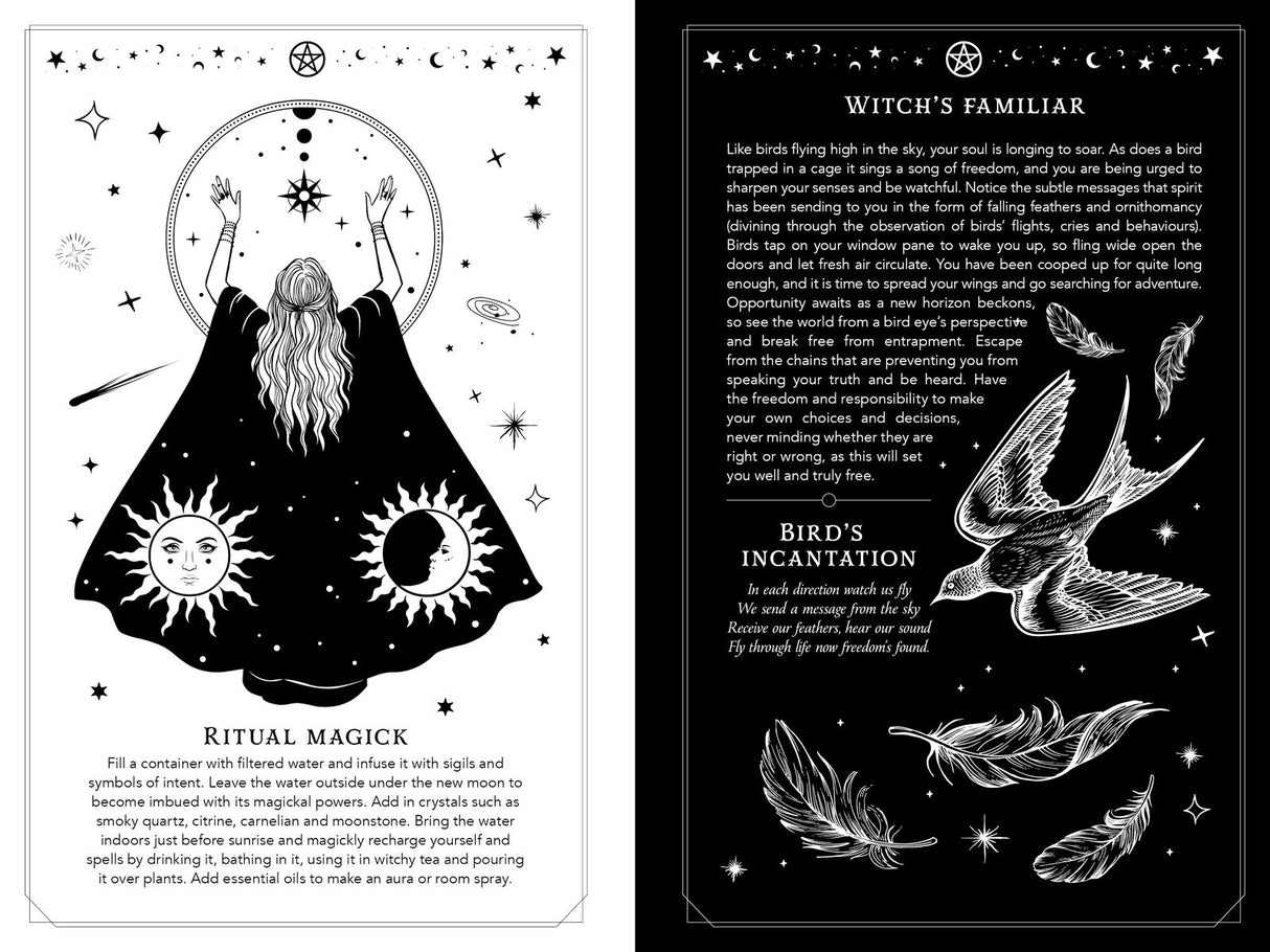 2026 Witch’s Diary: Southern Hemisphere